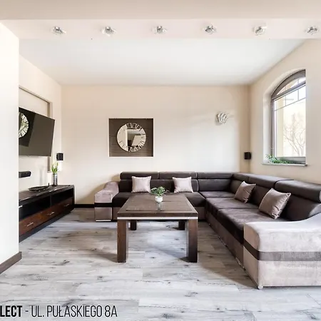 Apartment Top - Purpurowy Sen